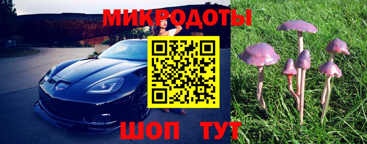ТГК Новосибирск